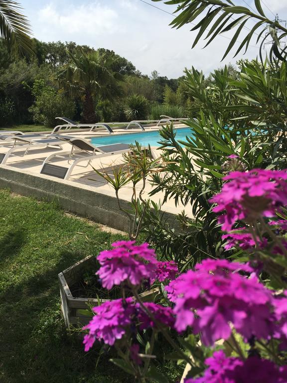 Appart'Hotel Et Chambres Essentiel Spa Arles Dış mekan fotoğraf